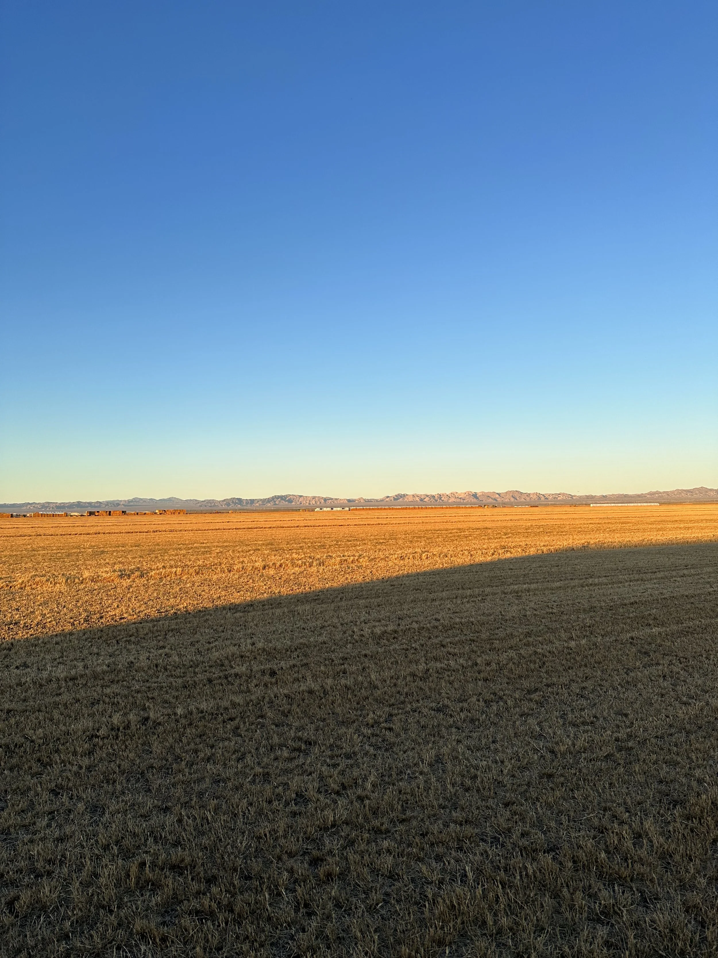 Open field with dry grass, mountains in the distance, and a clear blue sky.