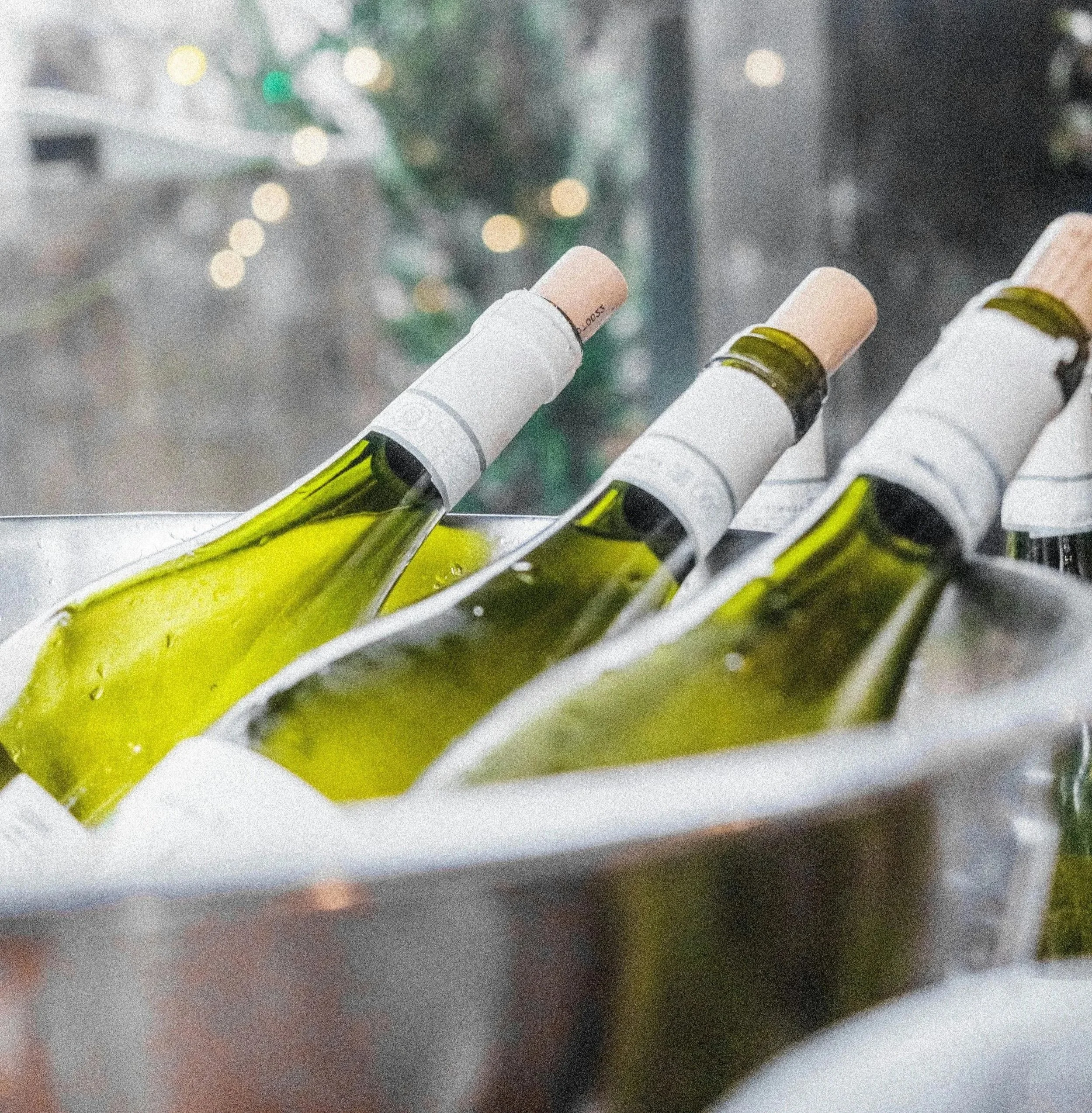 Wine &amp; Cheese Club Pickup Day - September 24