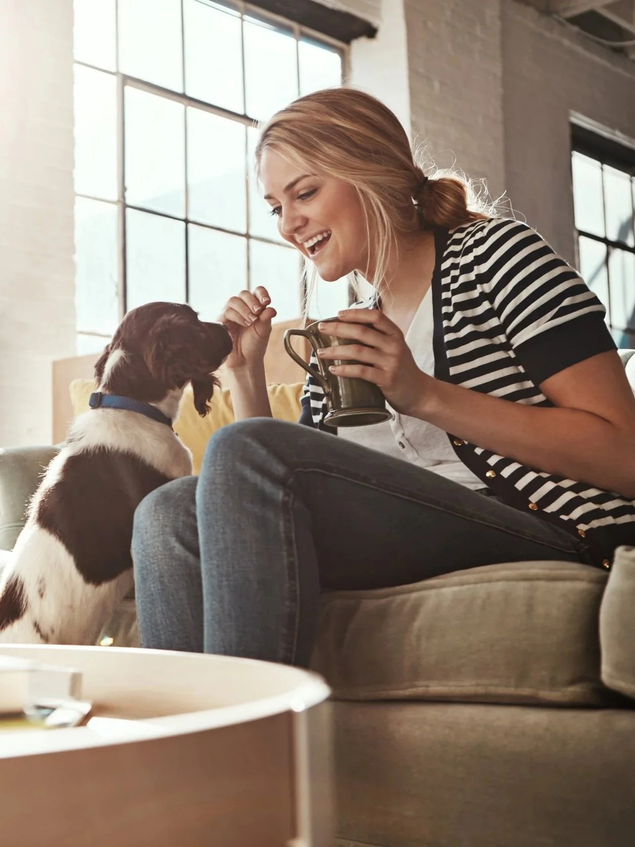 Air condition filter changes are especially helpful for keeping HVAC units in good working order for families with and without pets.