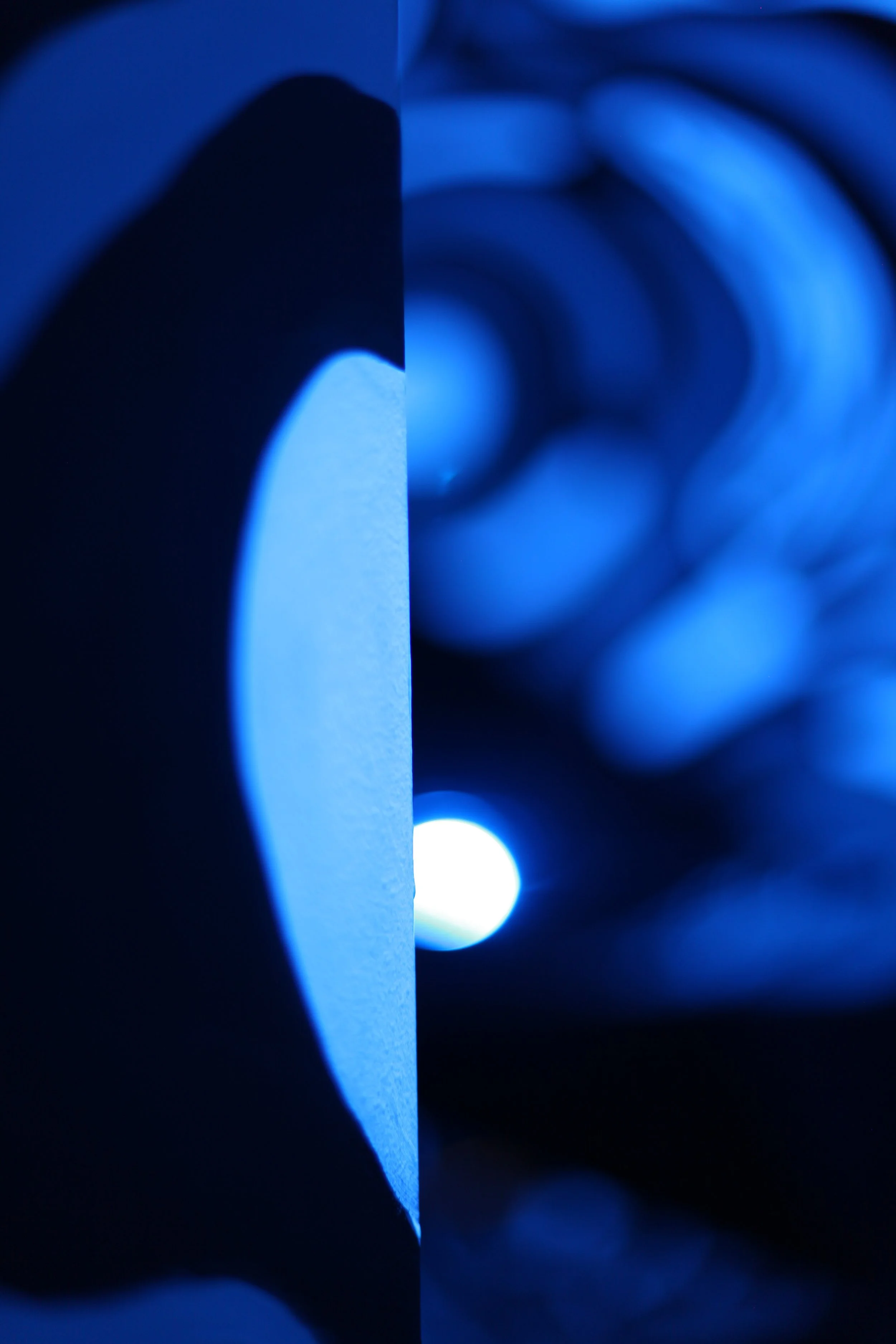 Close-up view of blue computer RAM modules with glowing LED lights.