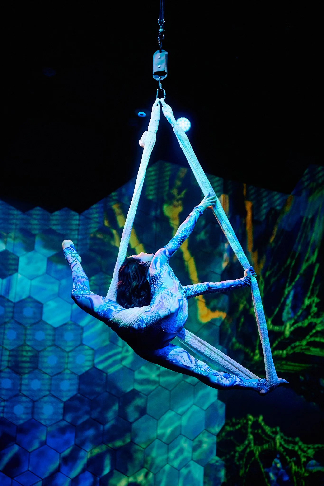A performer in a brightly lit acrobatic harness acts on a stage, with a digital honeycomb and abstract background design.