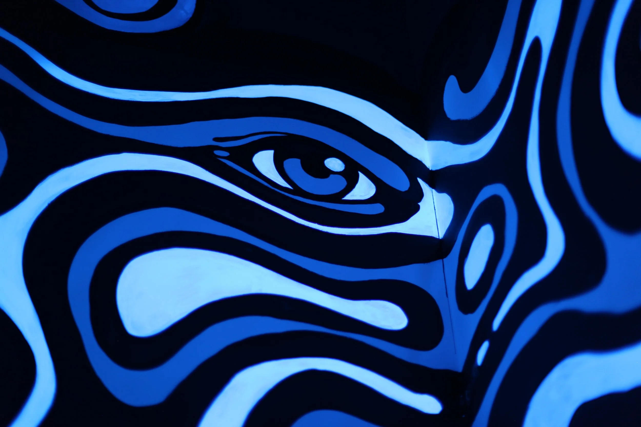Black walls with blue glowing abstract line art resembling a face with an eye.
