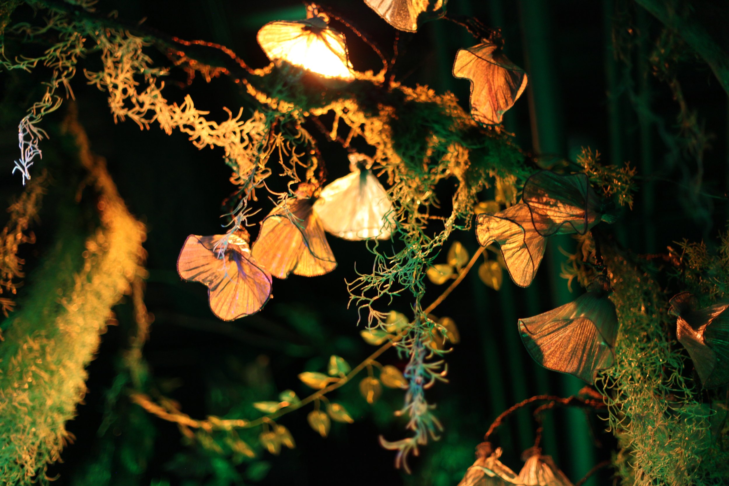 Illuminated orange and yellow butterfly-shaped paper lanterns hanging among green foliage in a dark setting inside of Atlas9