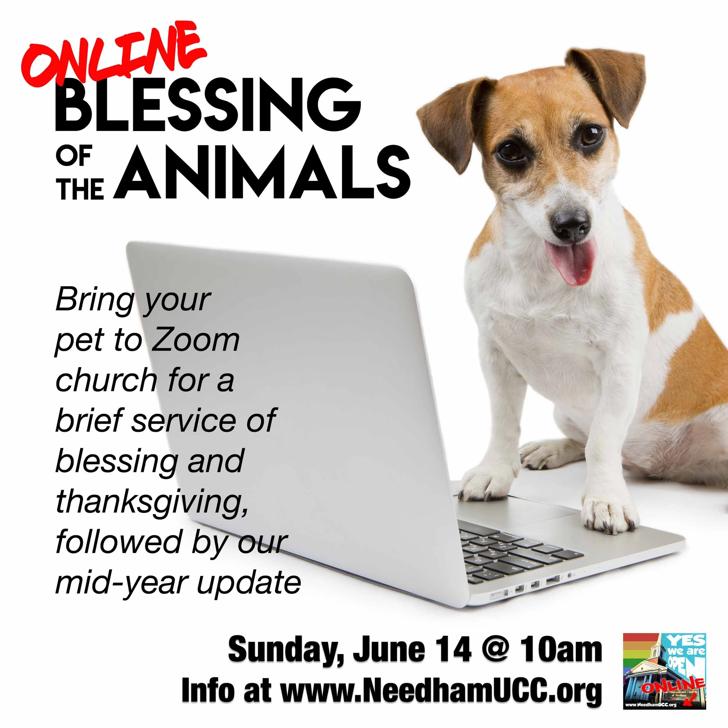 2020-06-14 Online Blessing of the Animals.jpg