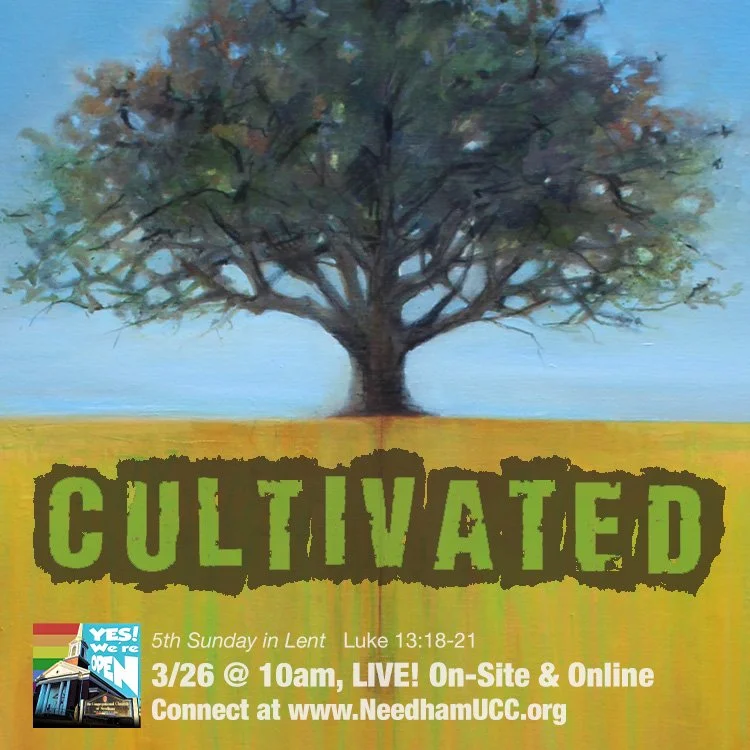 2023-03-26 Lent 5 Cultivated.jpg