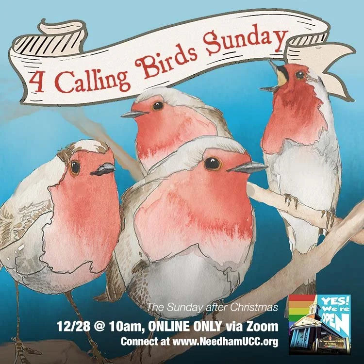 2025-12-28 Four Calling Birds Sunday.jpg