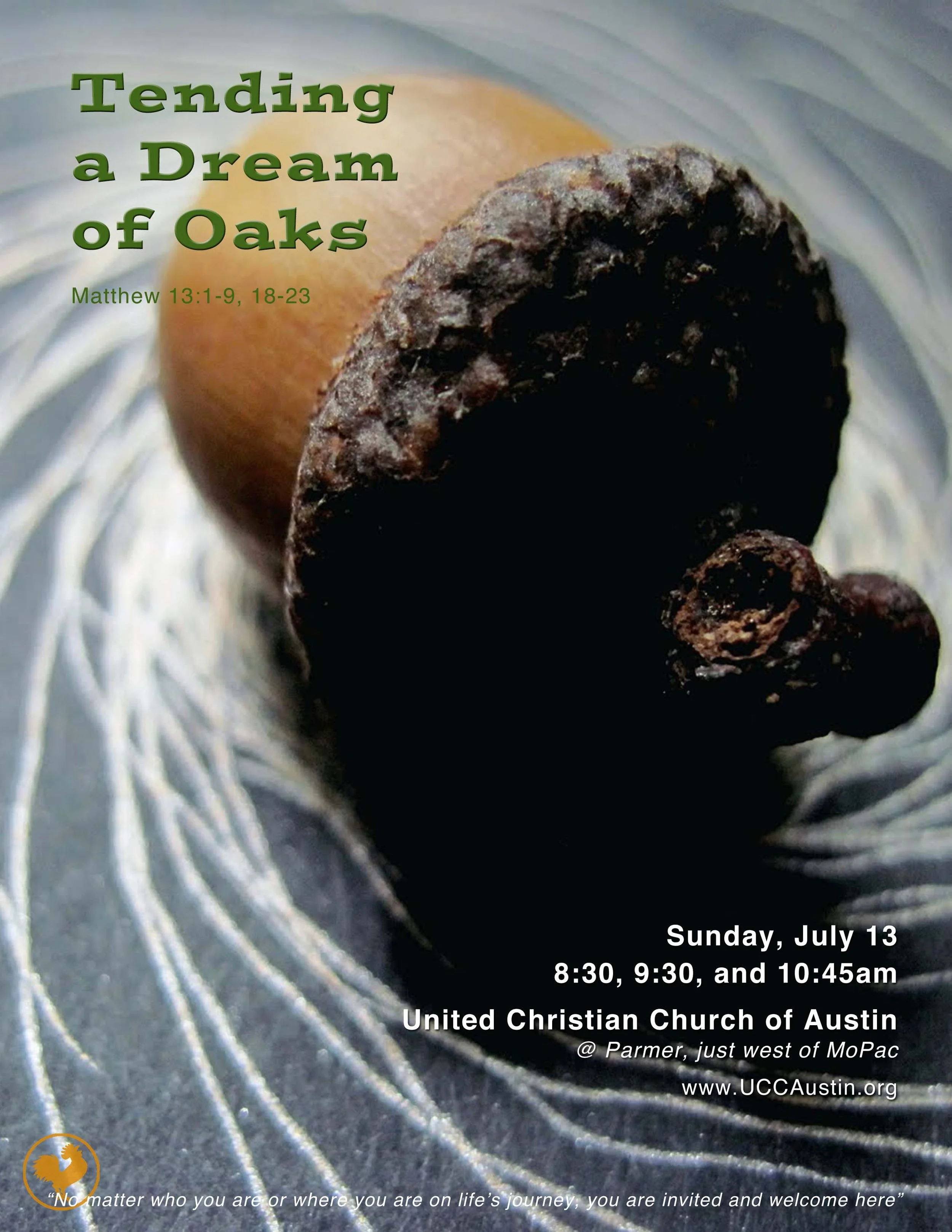 2014-07-13 Tending a Dream of Oaks.jpg