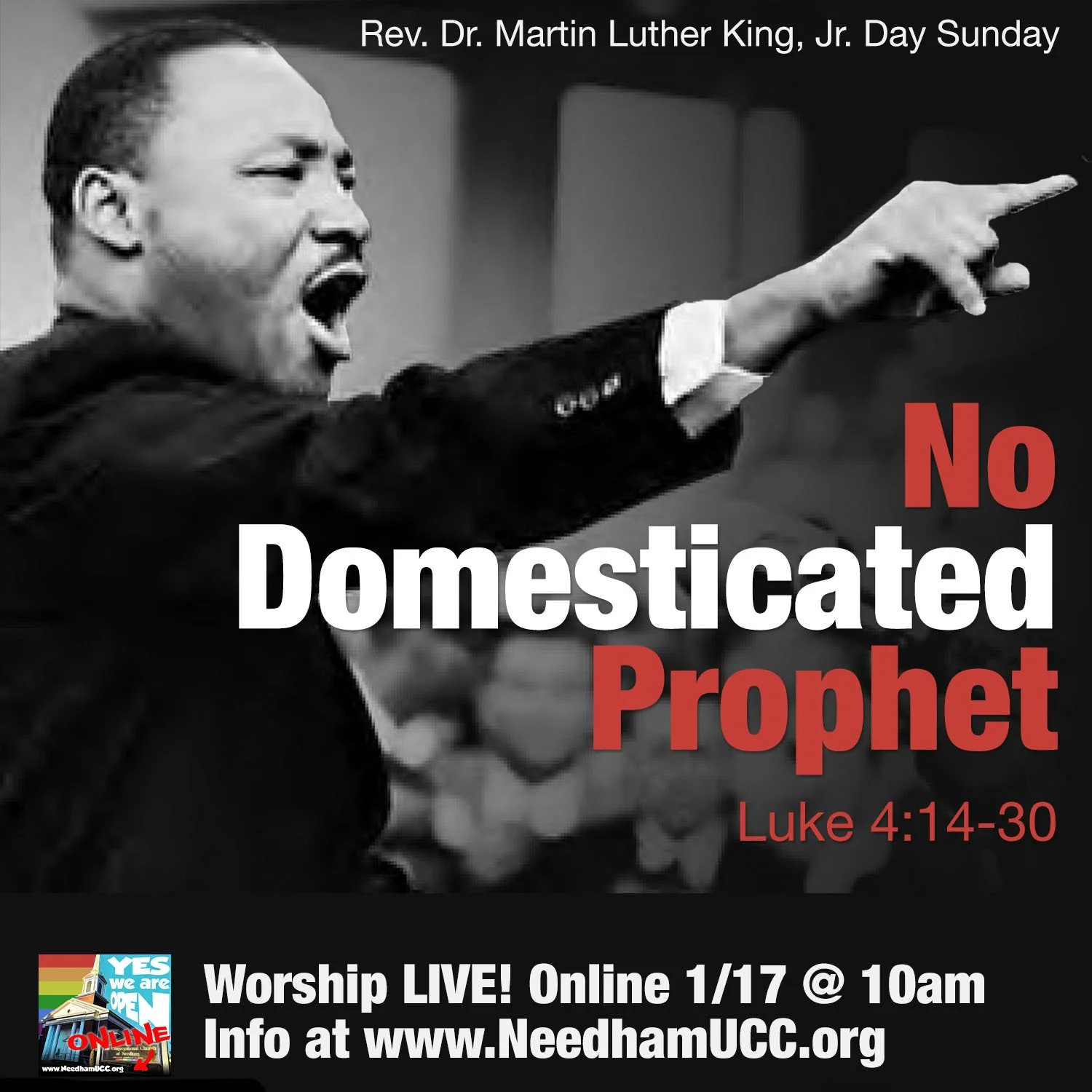 2020-01-17 No Domesticated Prophet MLK.jpg