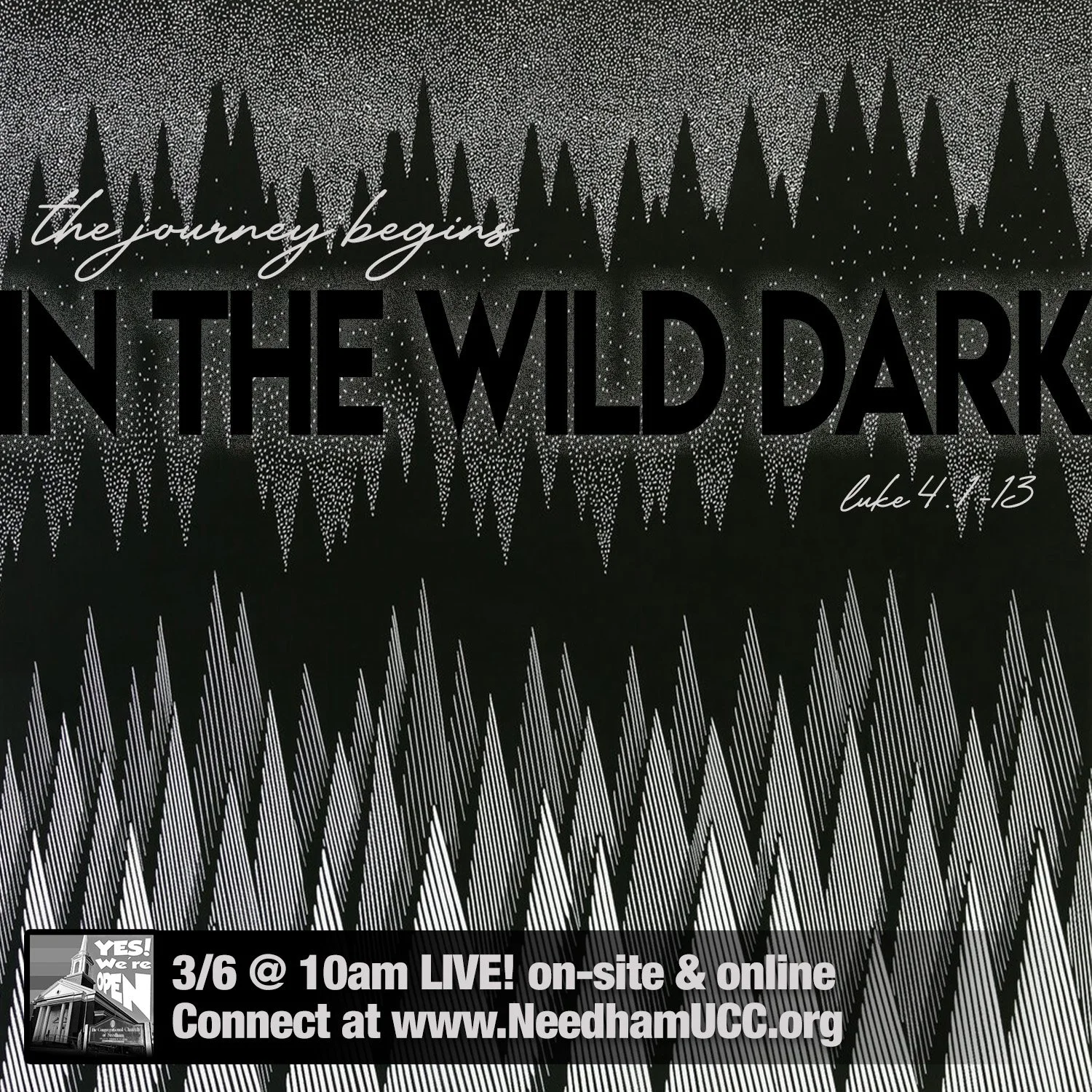 2022-03-06 In the Wild Dark.jpg