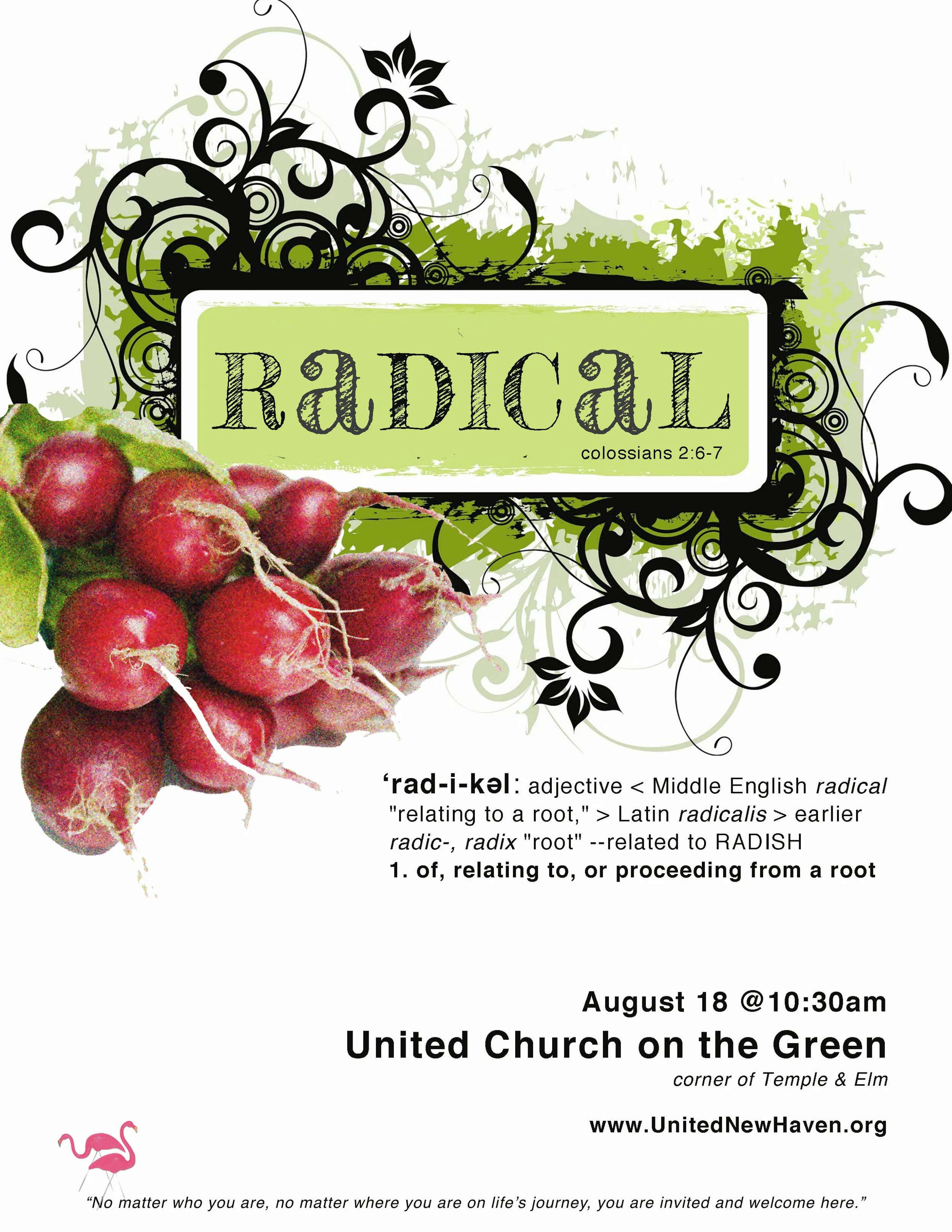 2013-08-18 Radical FLYER.jpg