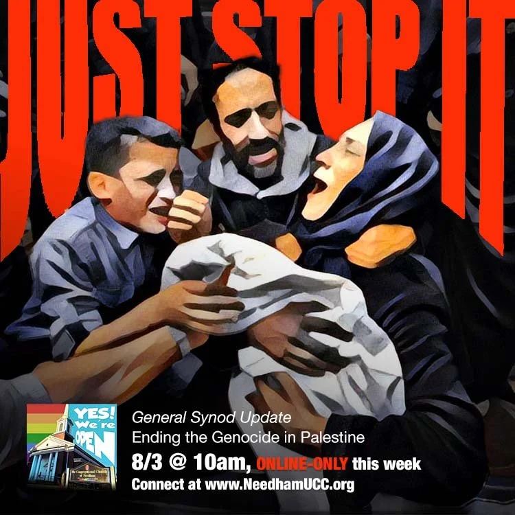 2025-08-03 Just Stop It_ End the Genocide in Palestine.jpg