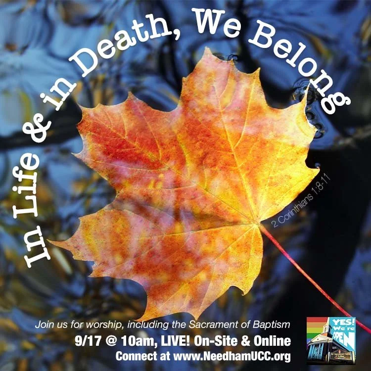 2023-09-17 In Life & In Death We Belong.jpg