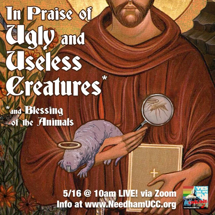 2021-05-16 In Praise of Ugly & Useless Creatures.jpg