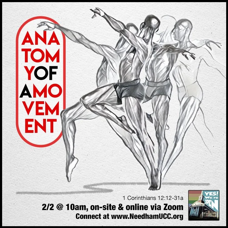 2025-02-02 Anatomy of a Movement.jpg