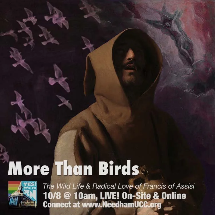 2023-10-08 More Than Birds.jpg