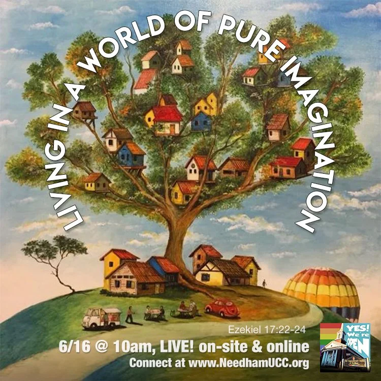 2024-06-16 Living in a World of Pure Imagination.jpg