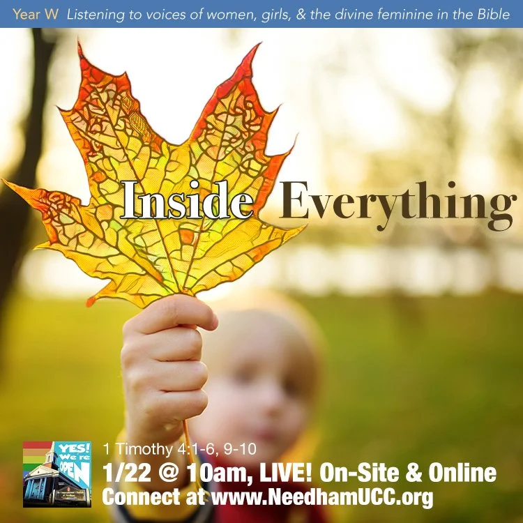 2023-01-22 Inside Everything.jpg