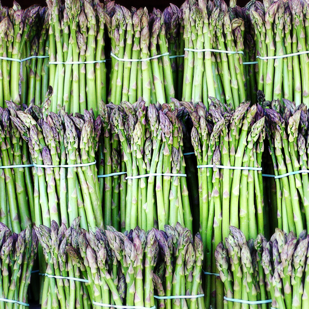 031815-asparagus-bundles-v1563319657_e45adf5f6bc0c5c2a30a39868f44eab6.png