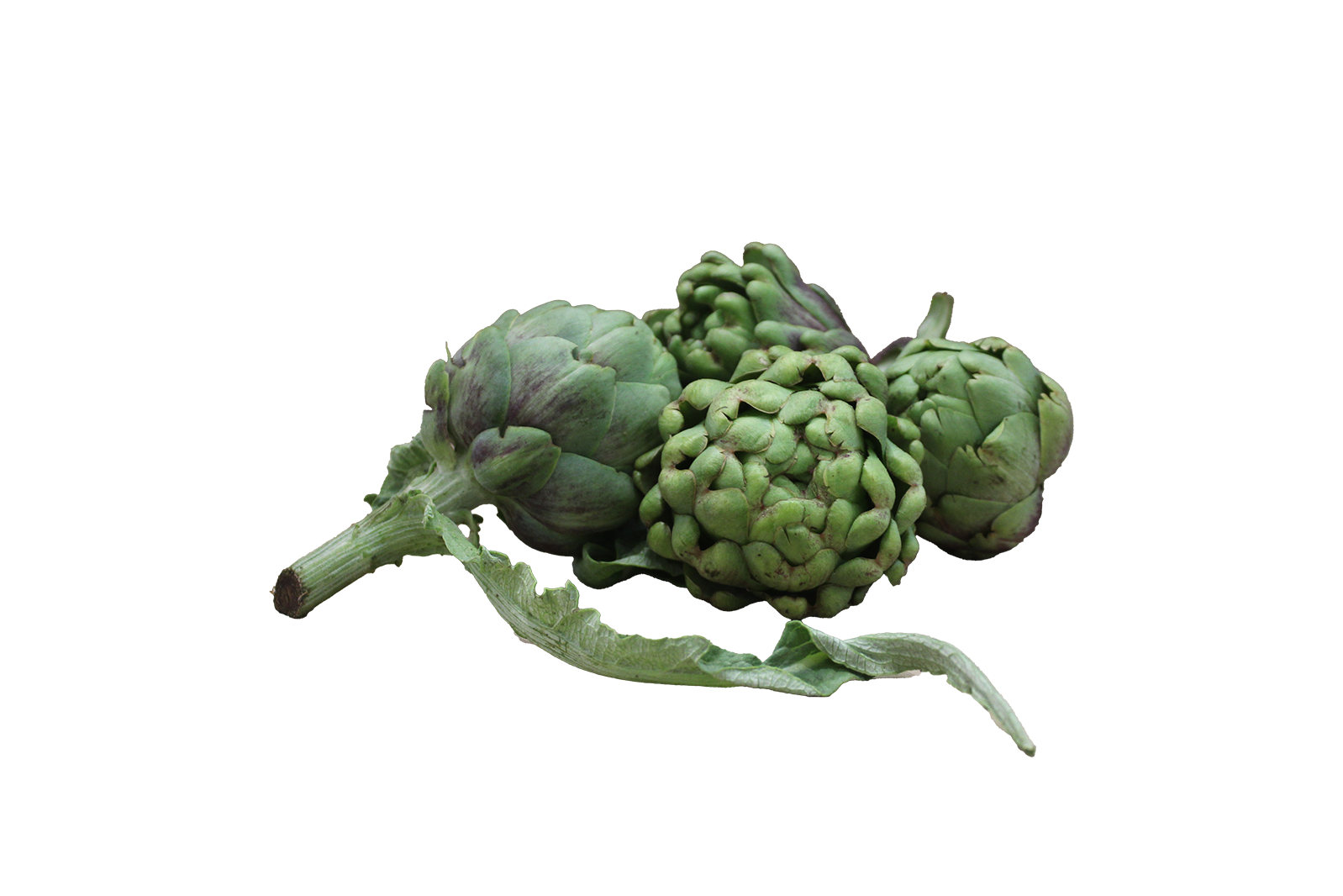 Farm-Fresh Baby Artichokes