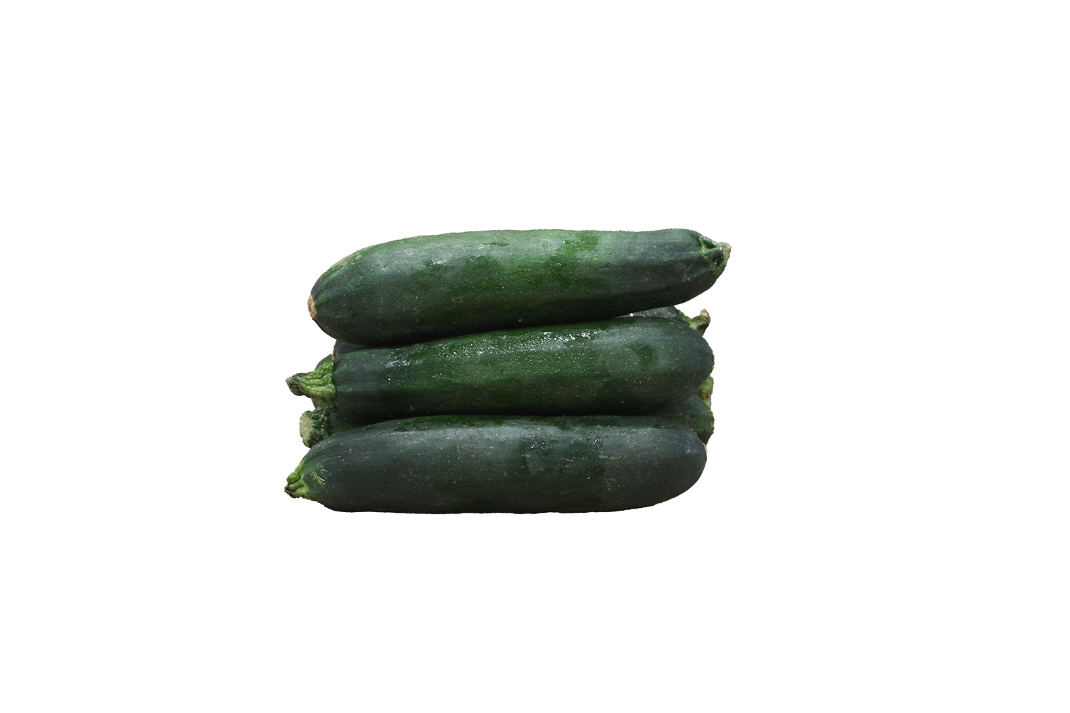 Farm Fresh Zucchini