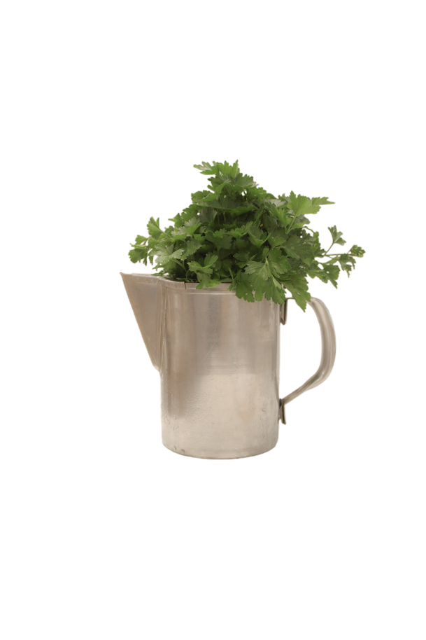 Fresh Parsley Bunch