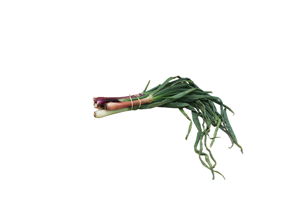 Onions leeks.png