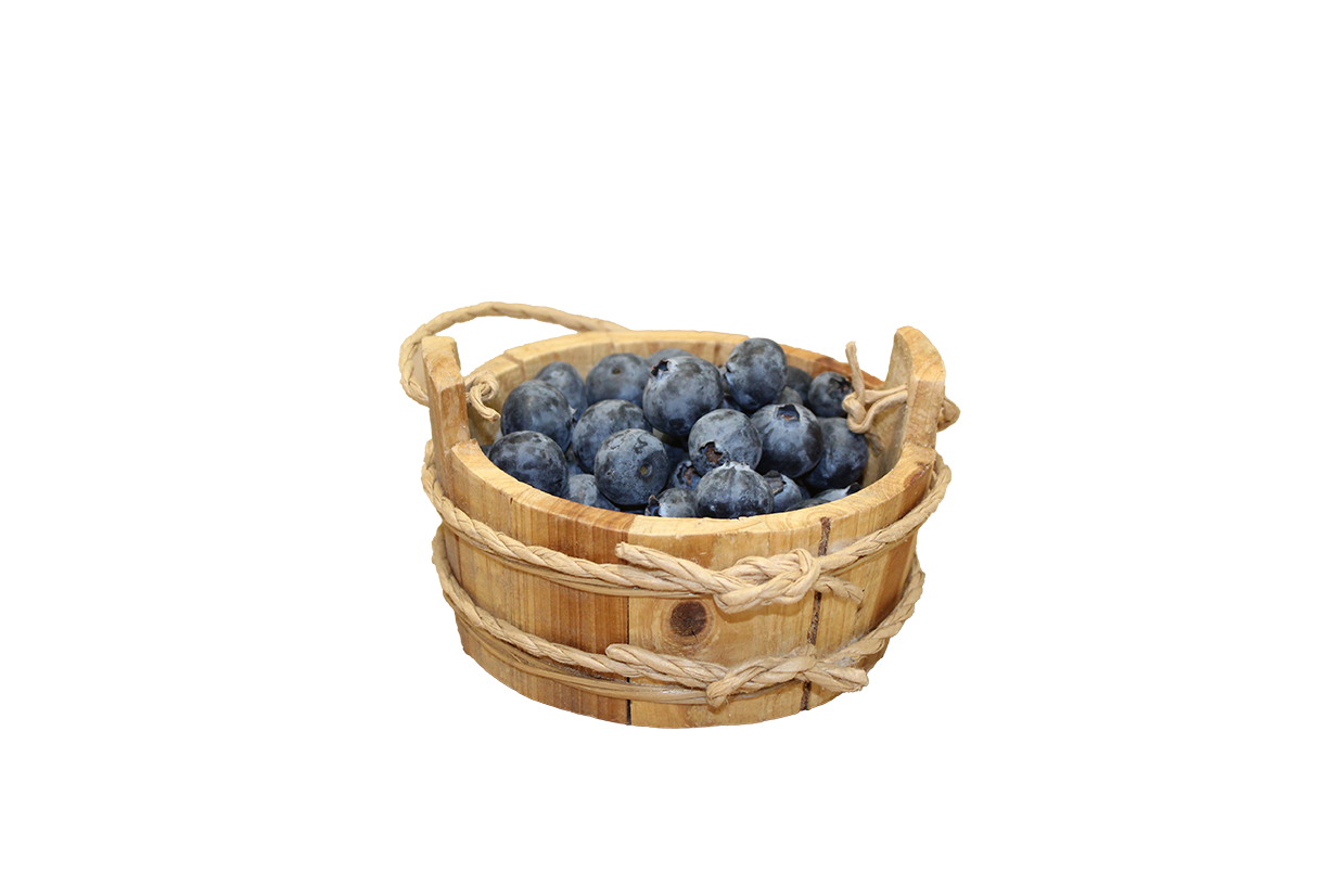 Blue Berries.png