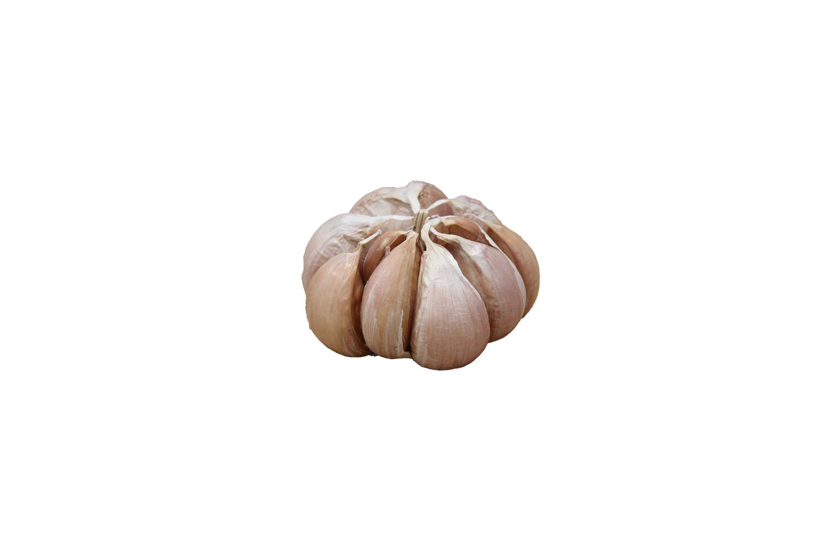 Heirloom Garlic.png