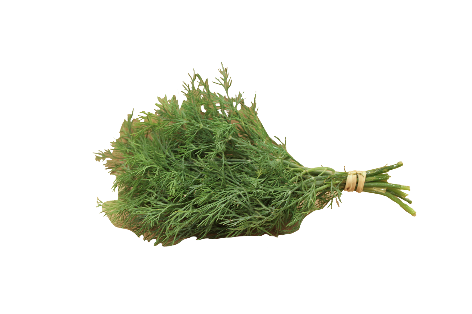 Dill bunch.png