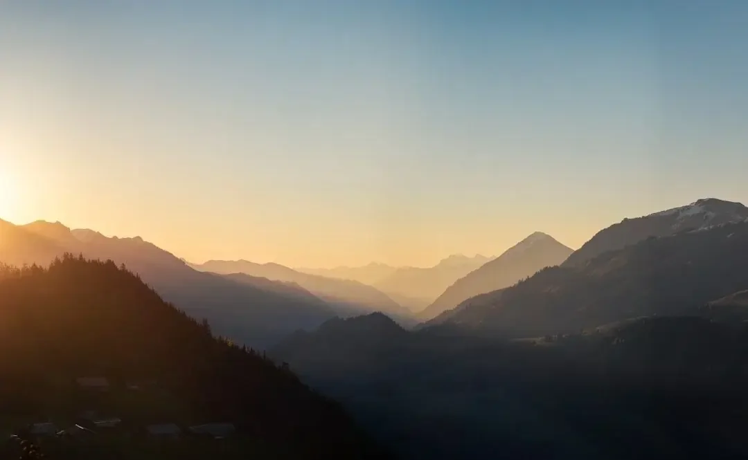 image_1775557620813 (1).webp