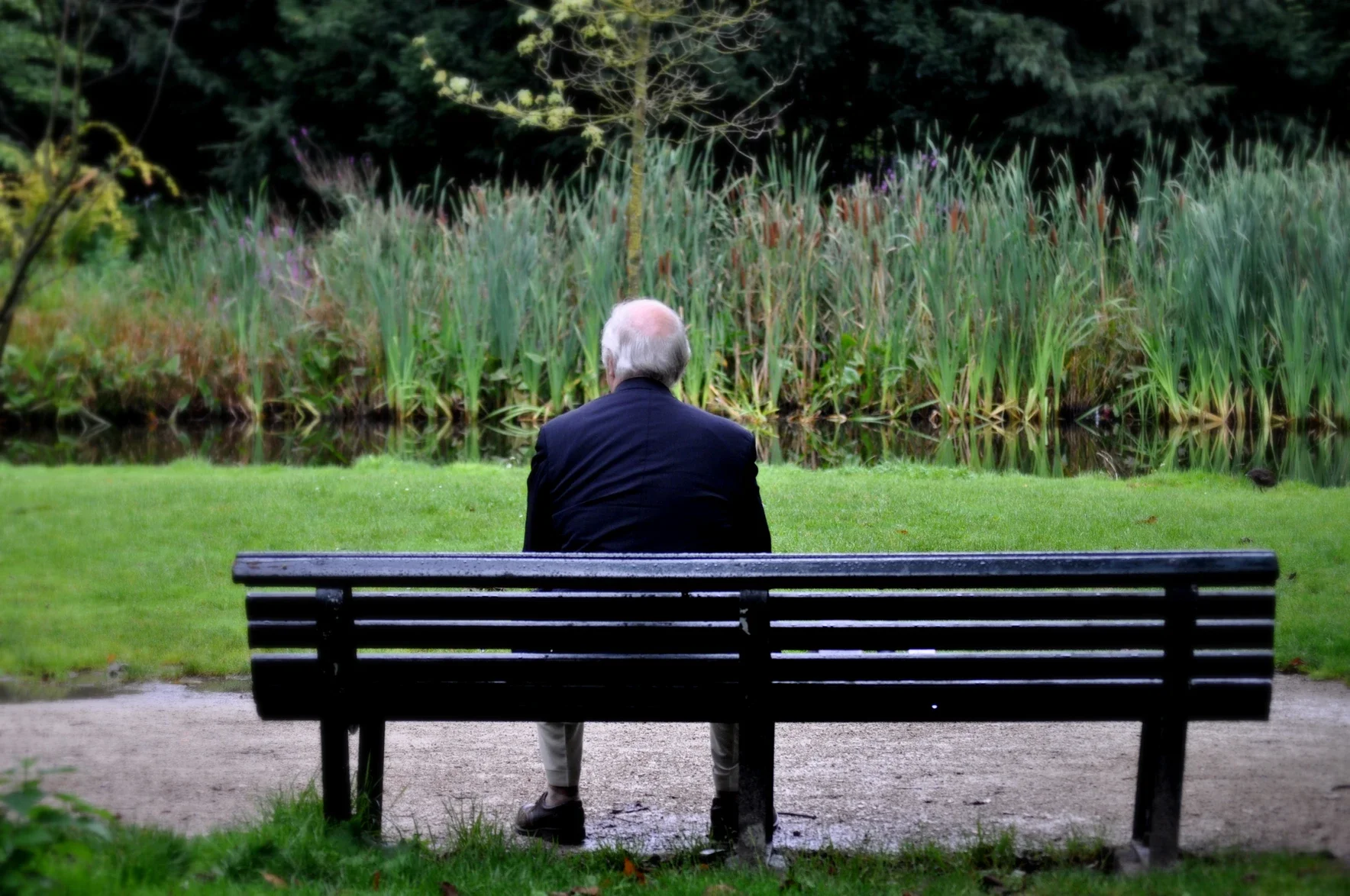 Older man sitting on a bench in a park looking at a stream and grass - lonely needs connection to improve mental health