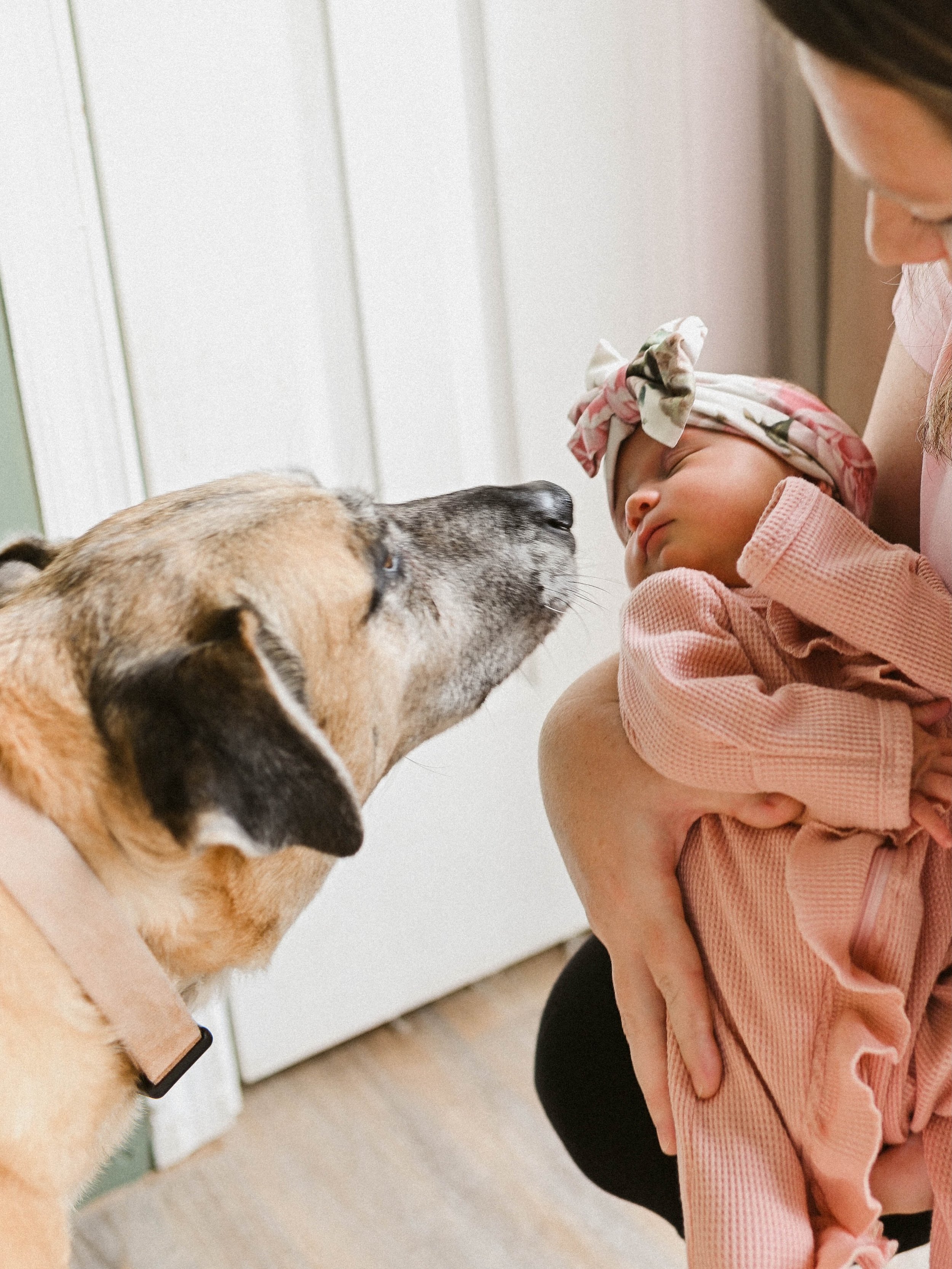 What a joy it is to be able to capture our friends in every stage of life. Welcome to the party Charlotte🥂
.
.
Pennsylvania Wedding Photographer
Pennsylvania Newborn Photographer
Family Photographer
In Home Newborn photos