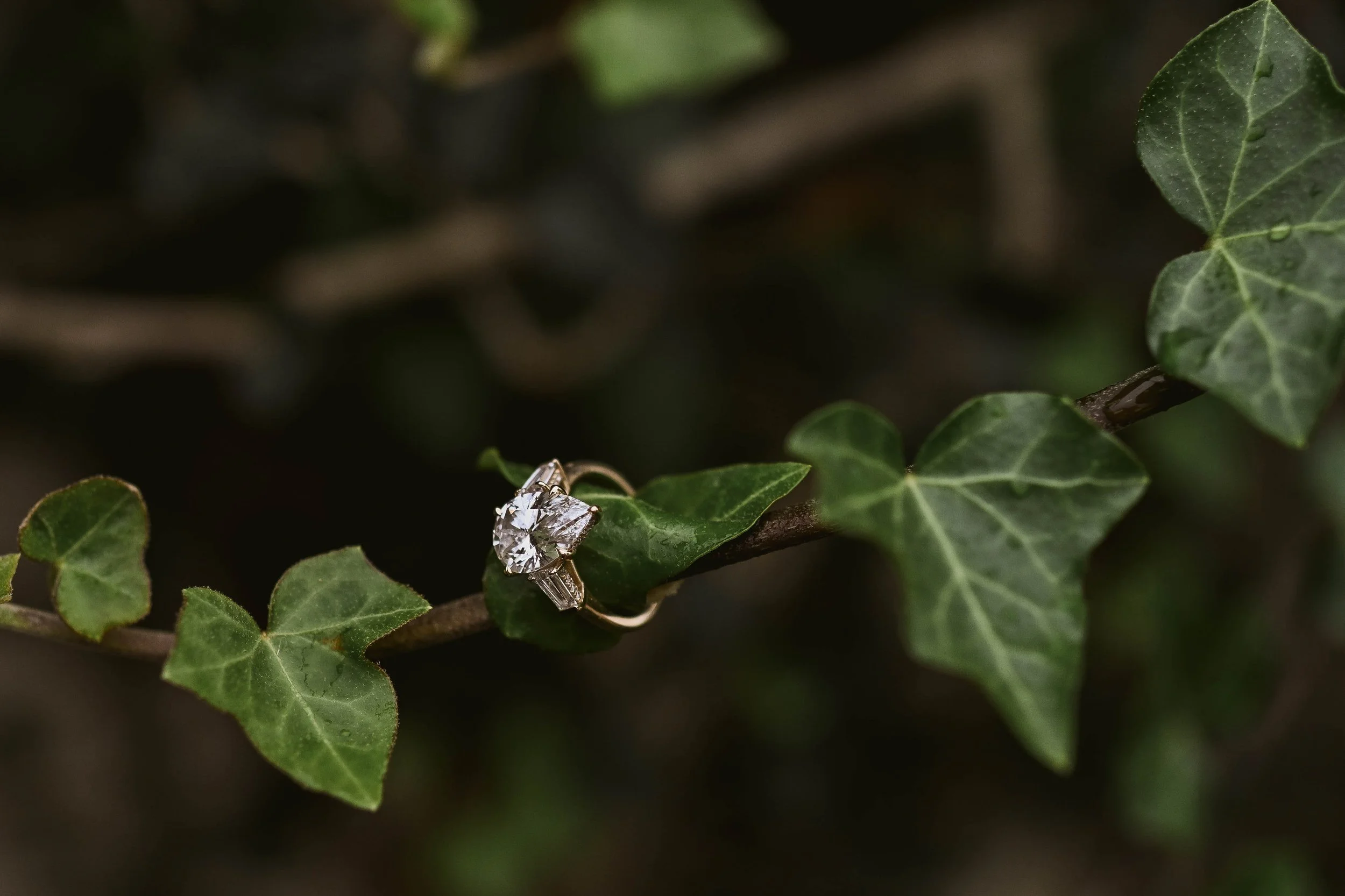 DSC_7157.jpg