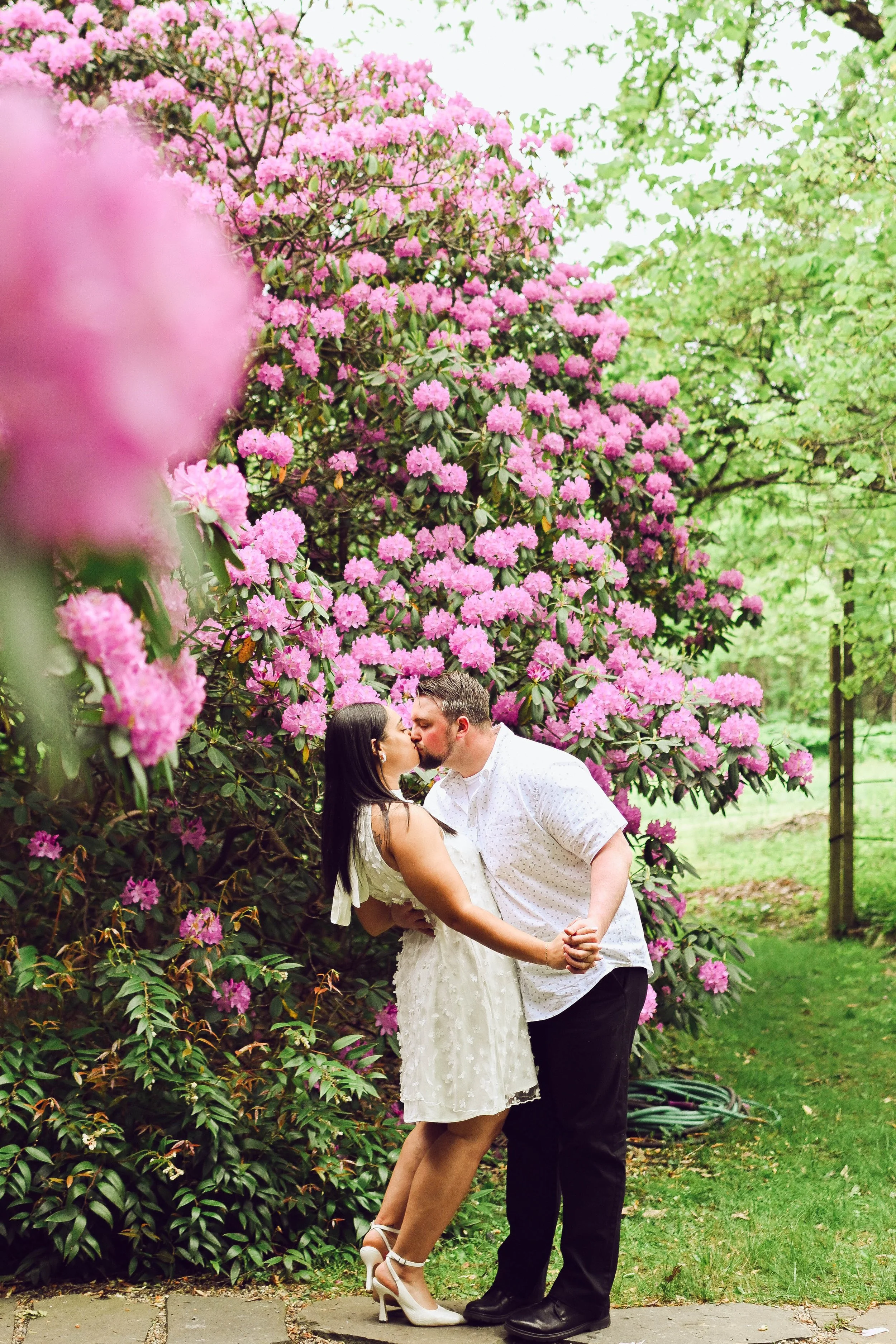A couple kissing outdoors near a large pink flowering bush, with green trees in the background.