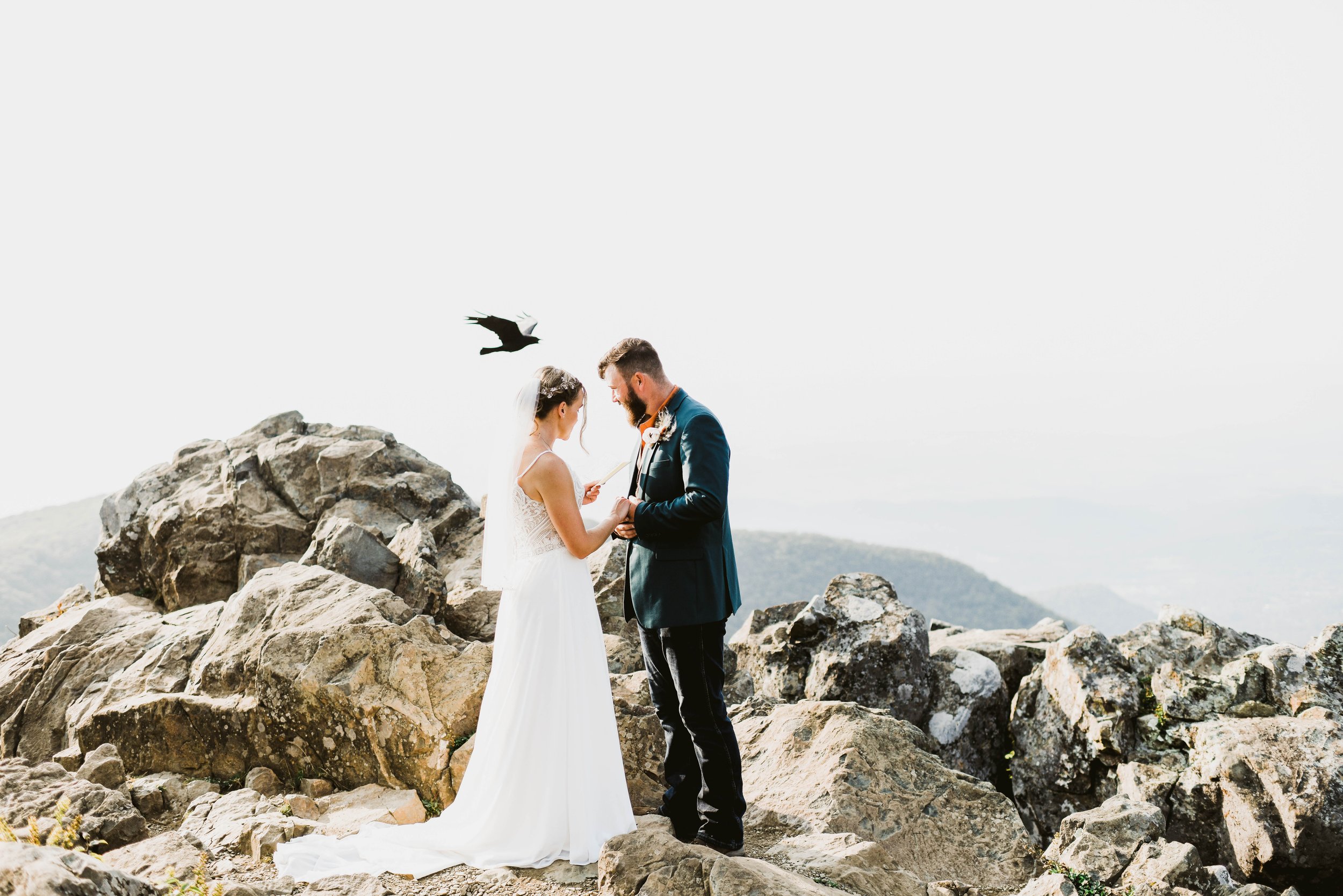 A bride and groom exchanging vows on a rocky mountainside with a seagull flying overhead in the sky.