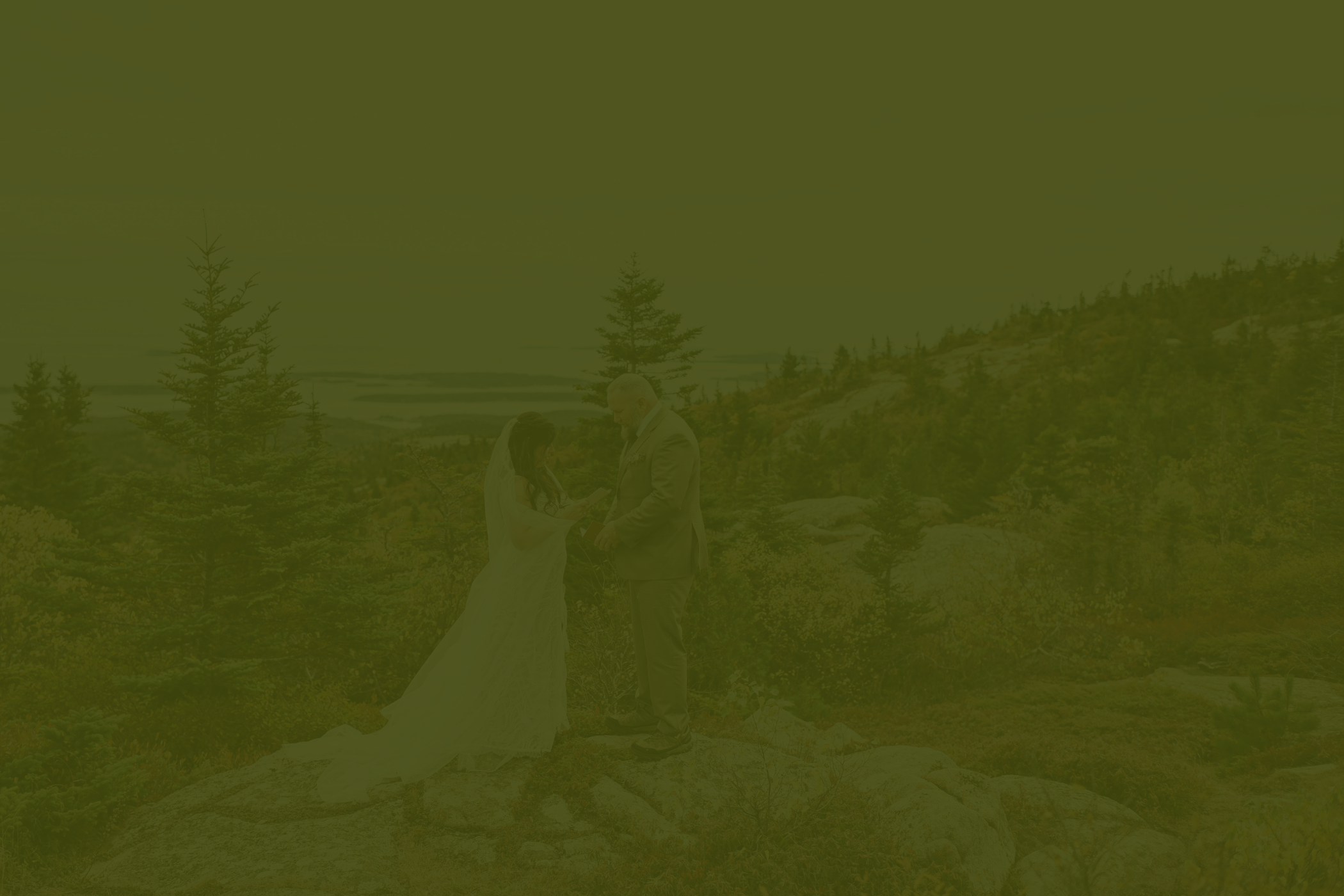 A bride and groom exchanging vows outdoors in a forested mountainous area, with trees and rocks in the background.