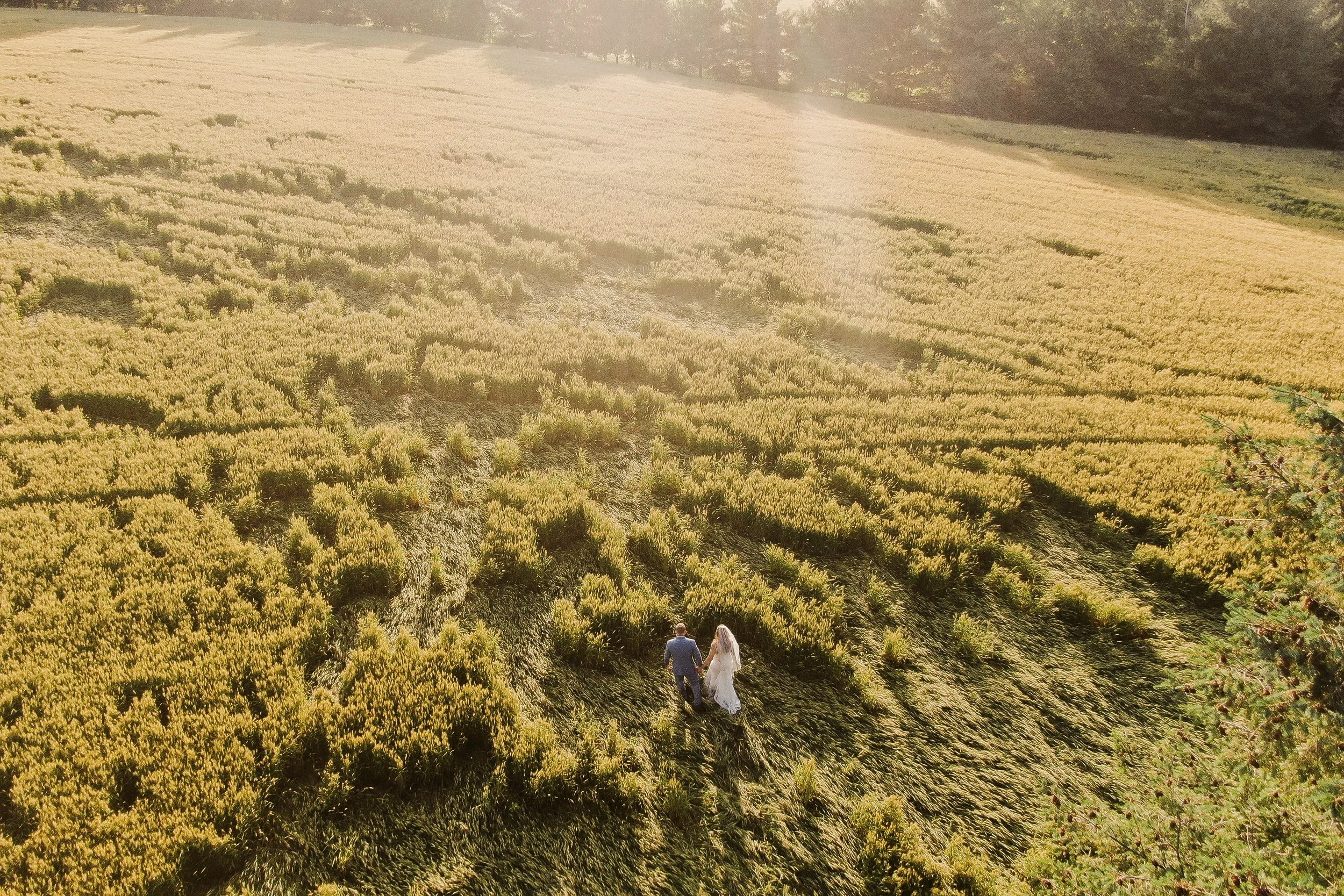 DJI_0322.jpg