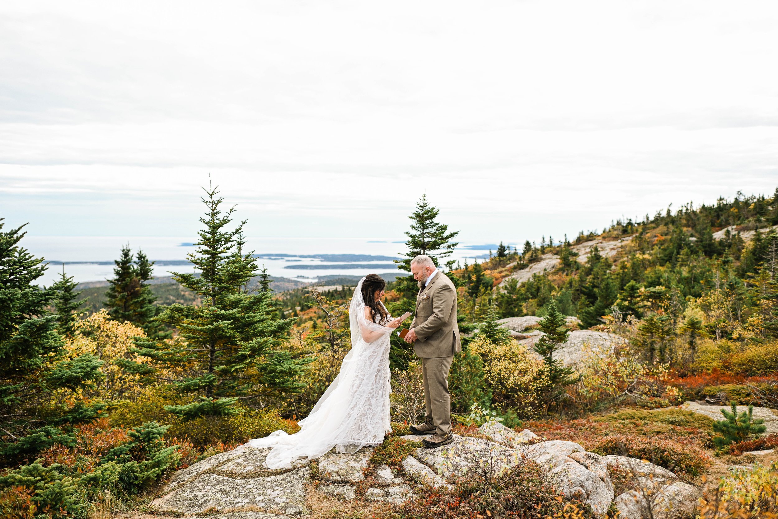 A couple getting married outdoors on a large rock in a forest with pine trees and fall colors, exchanging vows with a scenic lake and mountains in the background.