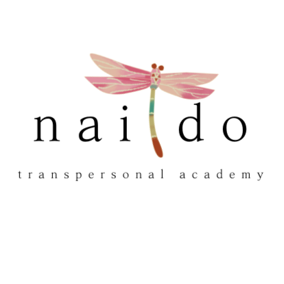 Logotipo de Naido Transpersonal Academy con un dragón fly colorido y el texto 'naido' y 'transpersonal academy'.