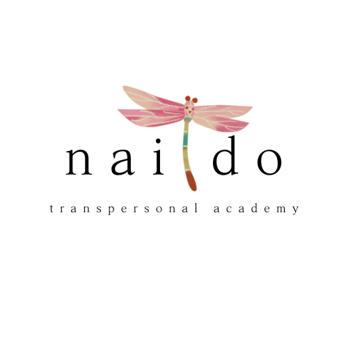 Logo for Naido Transpersonal Academy featuring a stylized dragonfly with pink and beige wings and a colorful body.