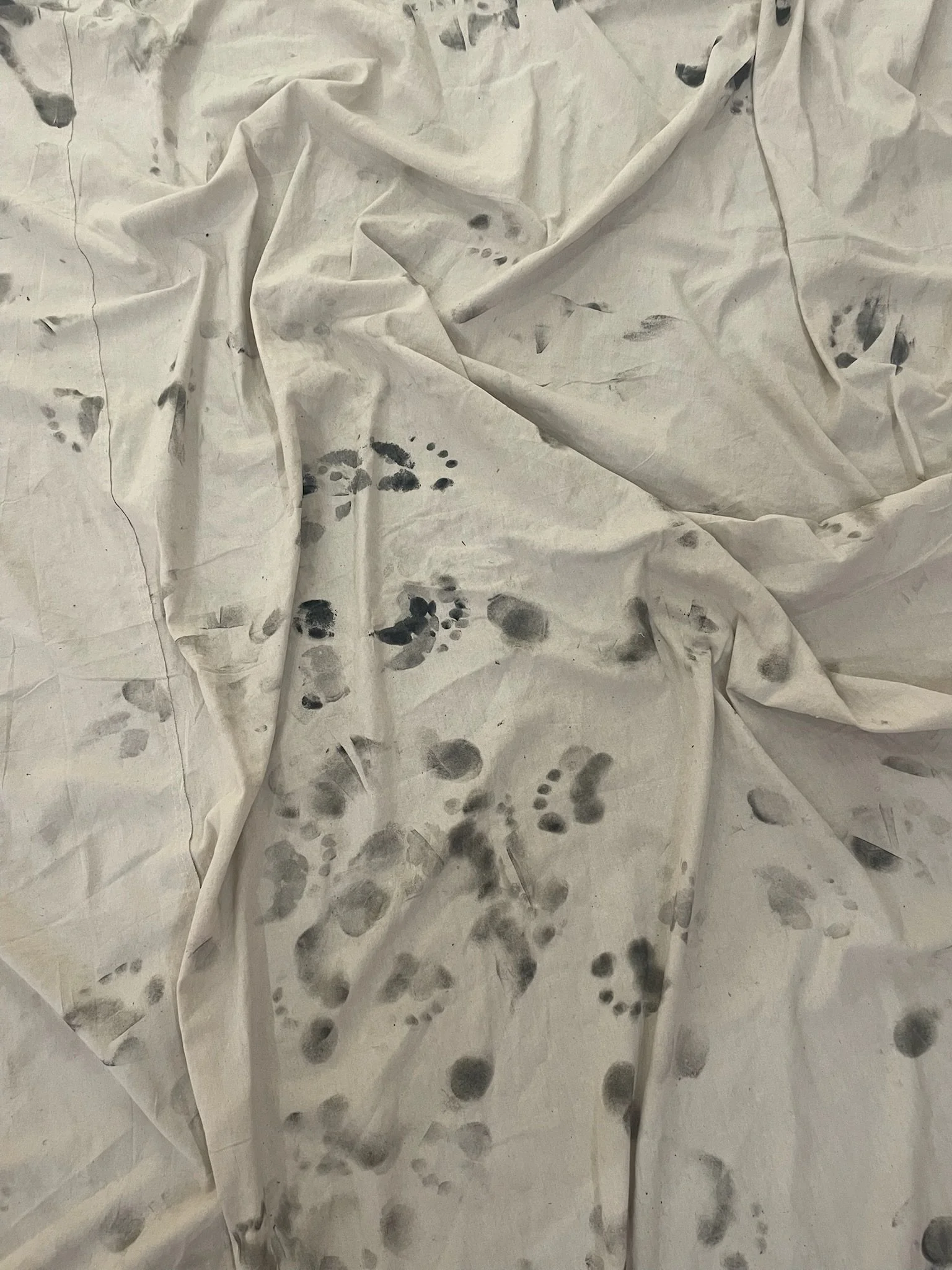 Cervantes Program Image.JPG