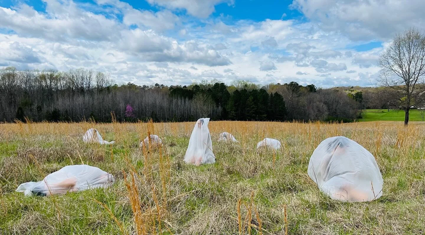 come check out ChoreoLab 2024 this friday (4/19) and saturday (4/20), 7:30pm at the von der heyden theater !

i&rsquo;ll be performing in @jingqiu.guan &lsquo;s &ldquo;Shedding&rdquo; 🦋 and @juliadrulia &lsquo;s &ldquo;Space is Only Noise if You Can