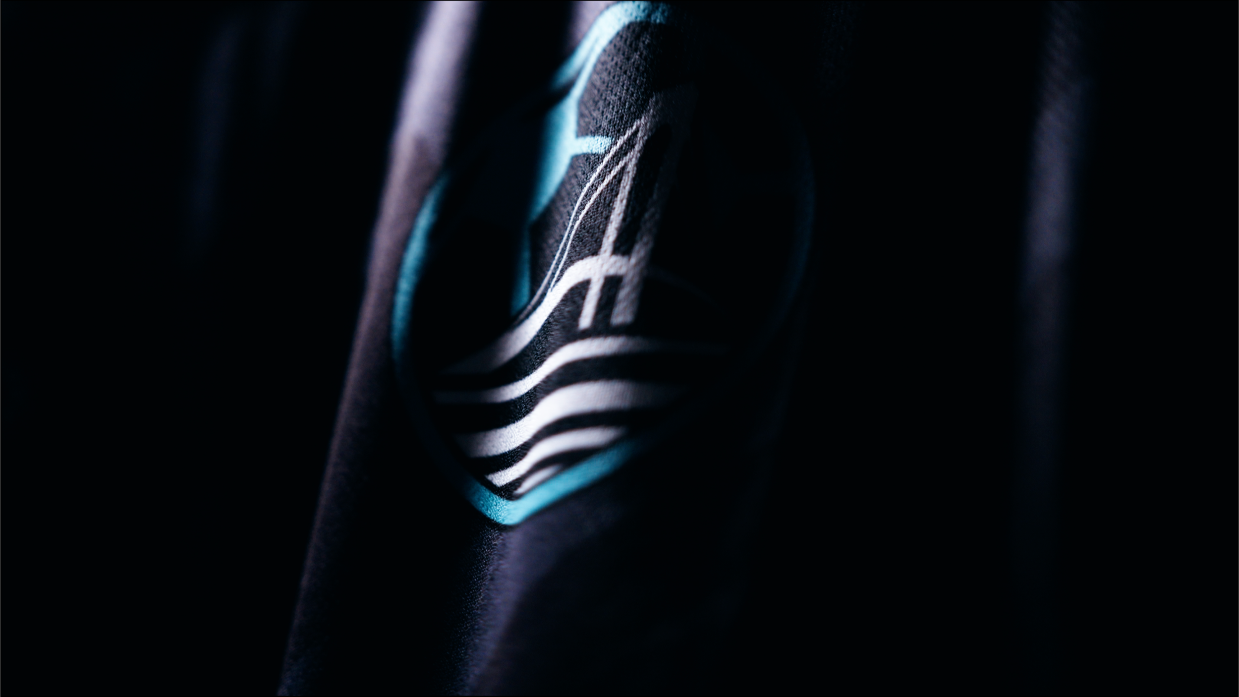Close-up of a black fabric with a Polaris logo embroidered in blue, white, and black thread, partially obscured by darkness.