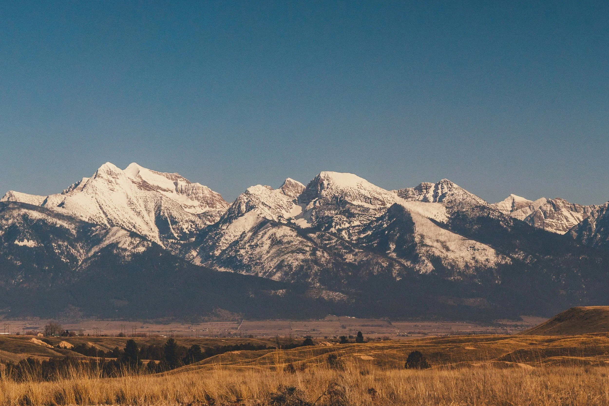 Snow-capped mountains under a clear blue sky with dry grass in the foreground.