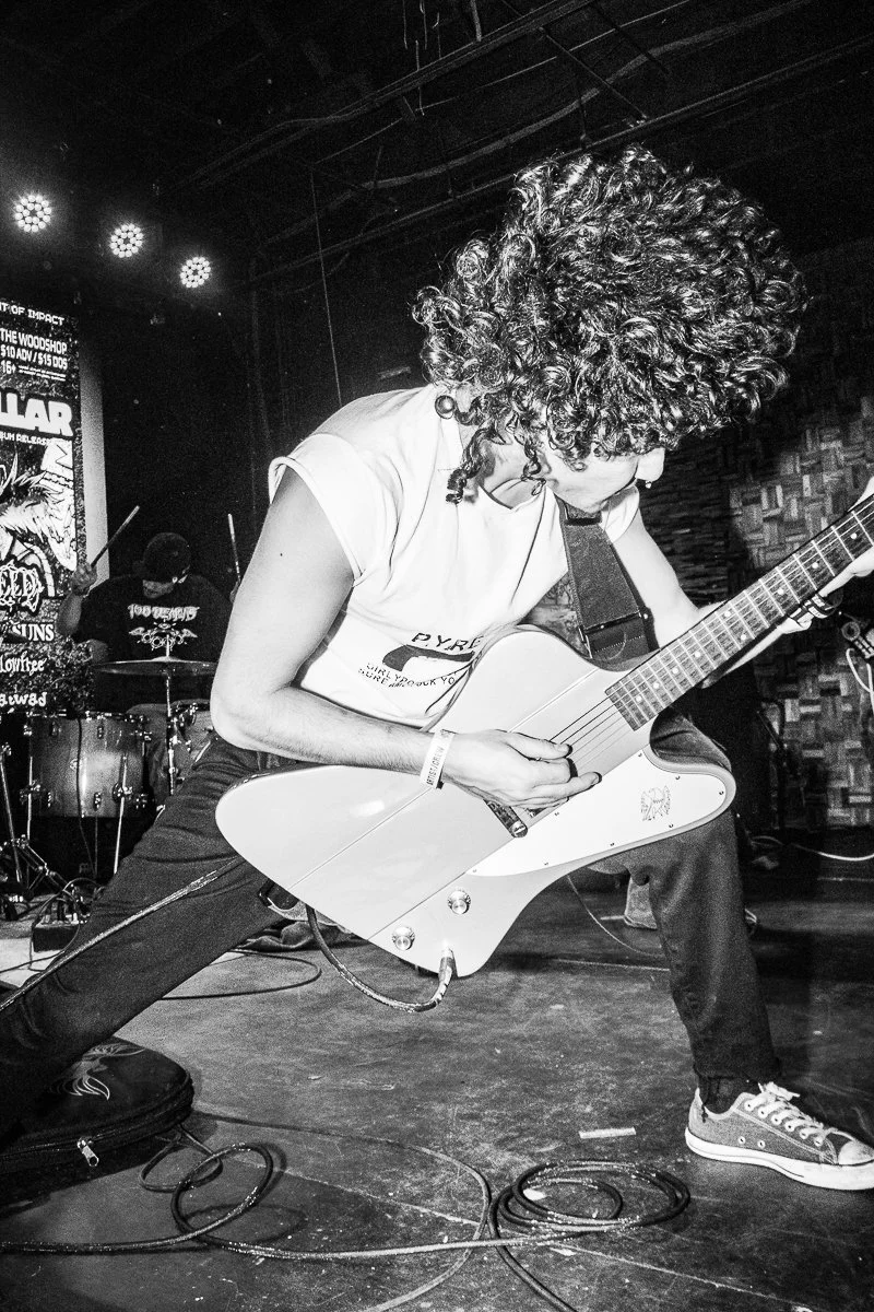 a website - music shows-1-2.jpg