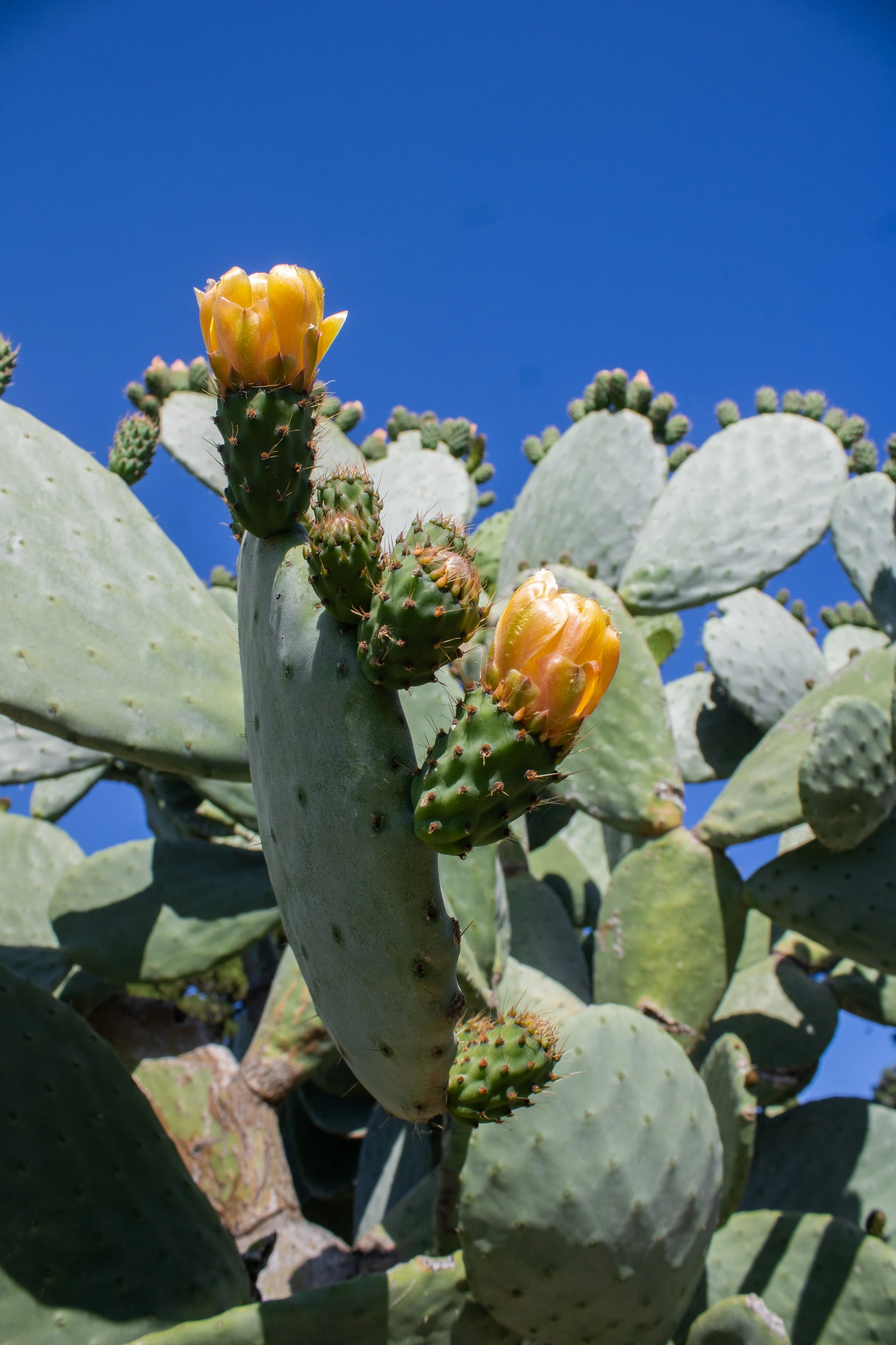 a italia, for my website-06.jpg