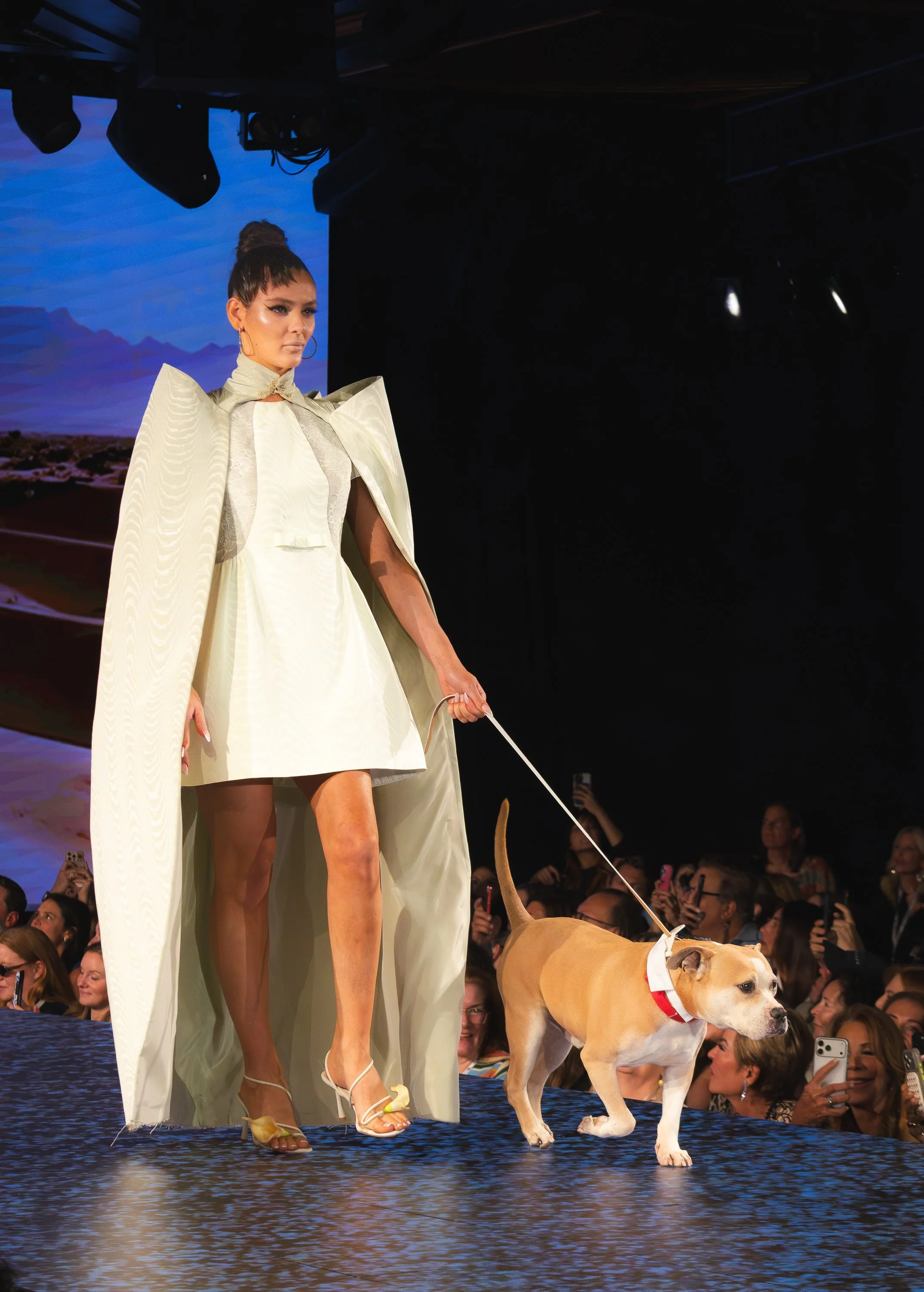 runway7 website-3.jpg