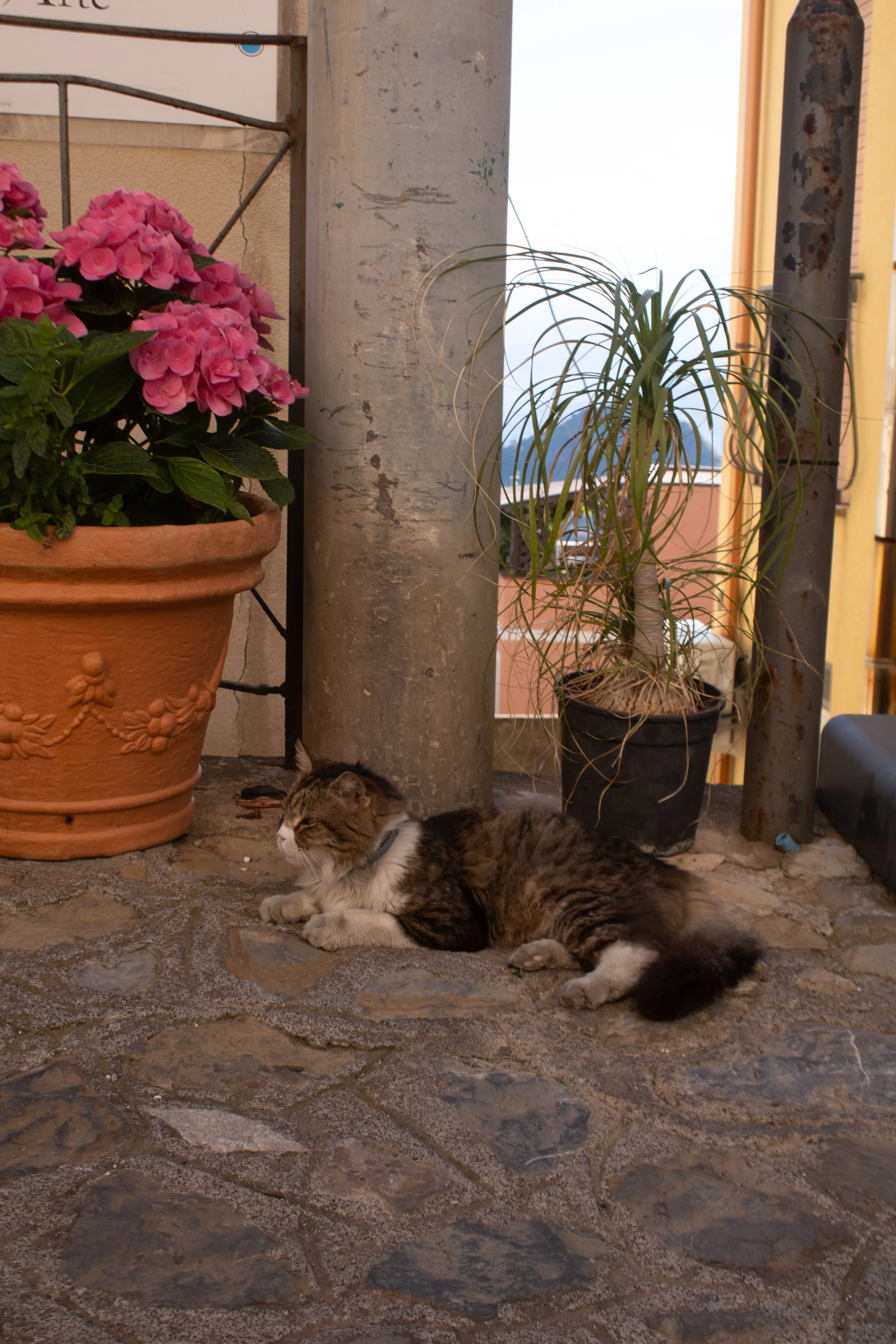 a italia, for my website-23.jpg