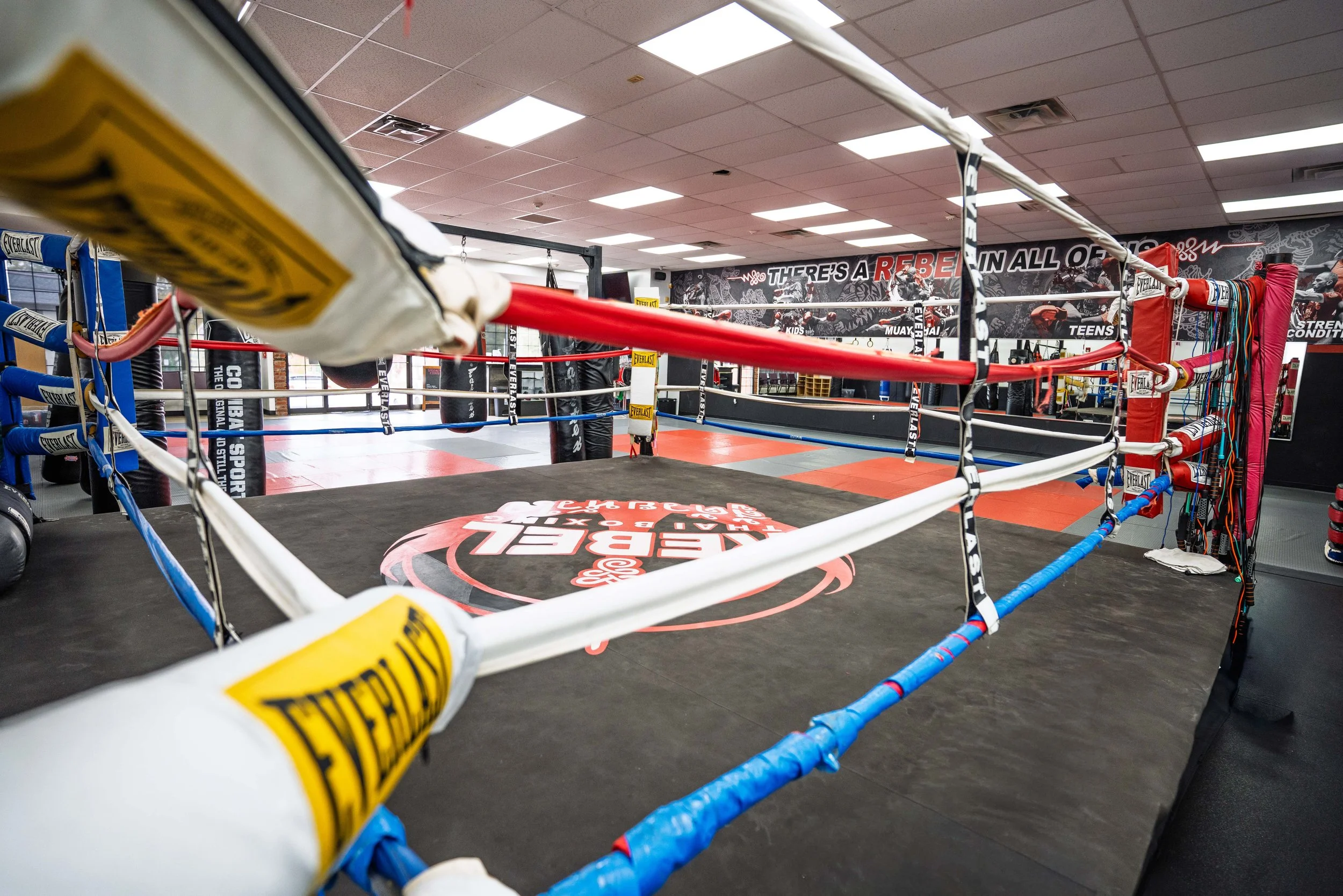 Empty boxing ring with red, white, and blue ropes in a gym, with a black mat and a logo in the center. The gym has black and red walls, punching bags, and mirrors.
