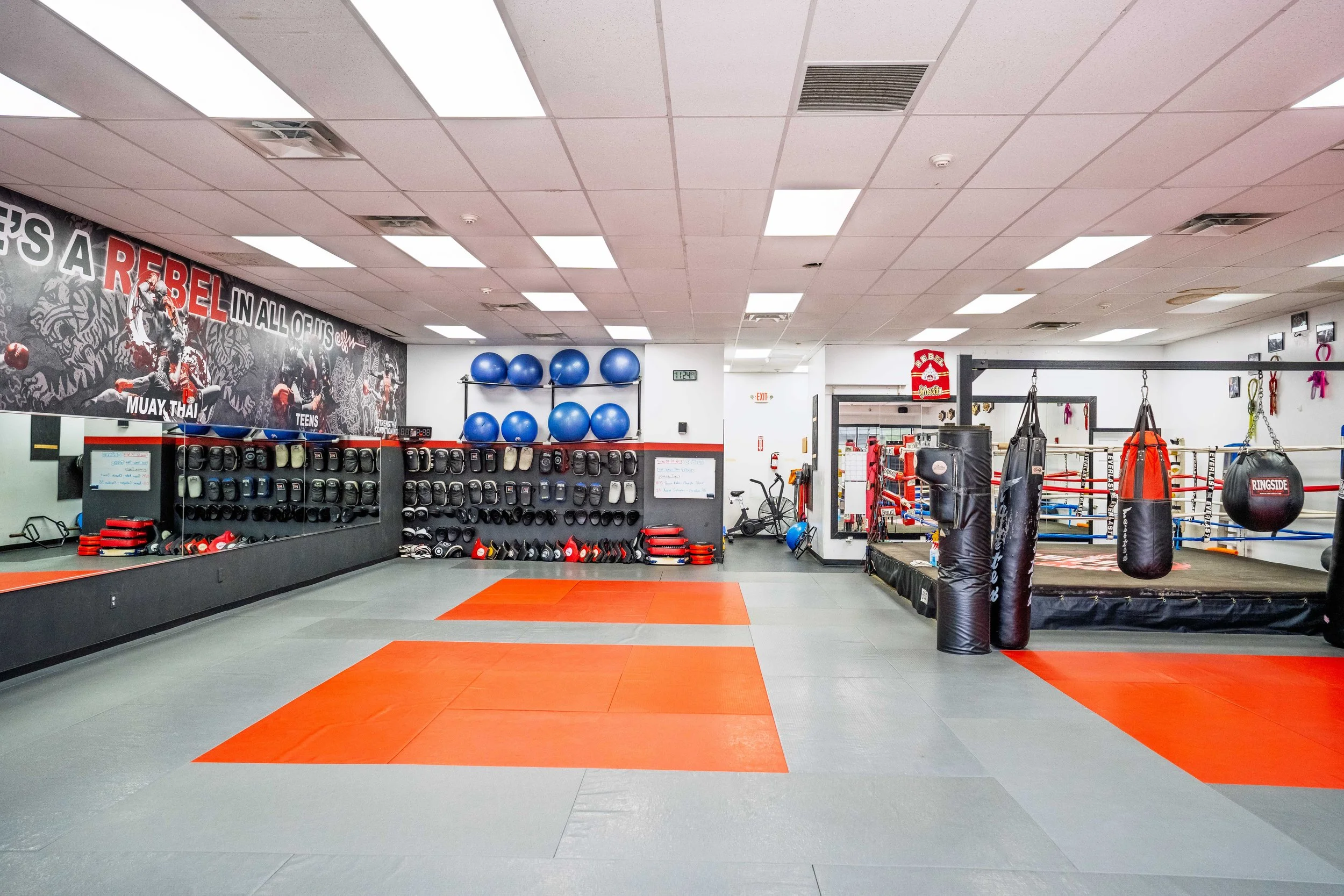 Empty martial arts gym with boxing ring, punching bags, and various training equipment like gloves and medicine balls.